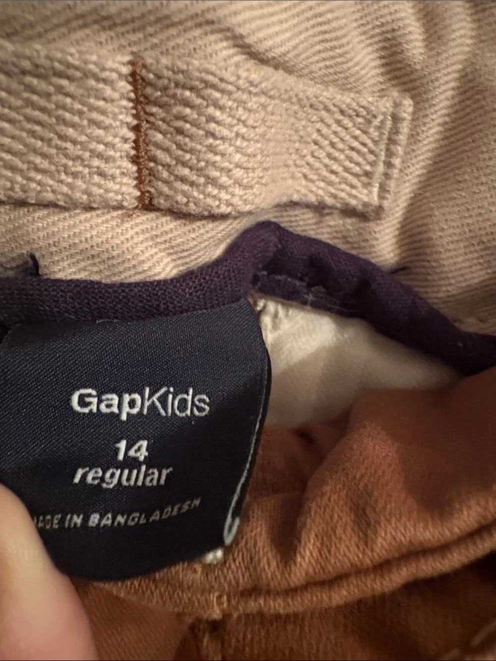GAP Men's Cargo Pants in Rust Brown